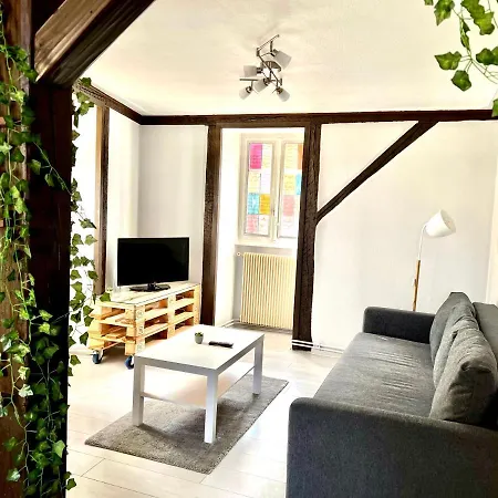 Διαμέρισμα Seppala Κολμάρ