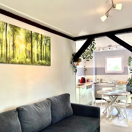 Διαμέρισμα Seppala Κολμάρ