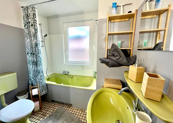 Seppala 아파트 콜마