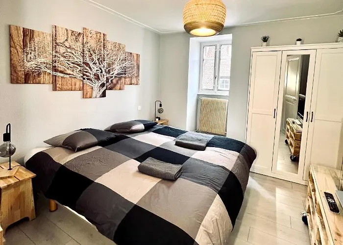 Seppala 아파트 콜마